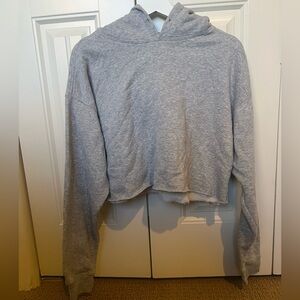 Urban Outfitters Heather Gray Cropped Hoodie